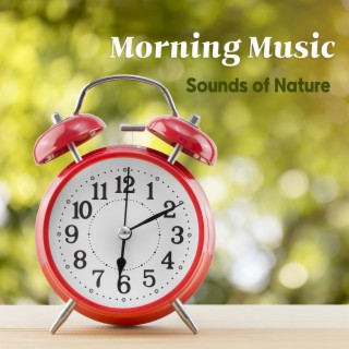 상쾌한 아침 출근을 위한 기상음악