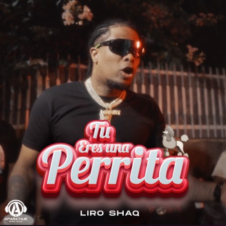 Tu Eres Una Perrita | Boomplay Music