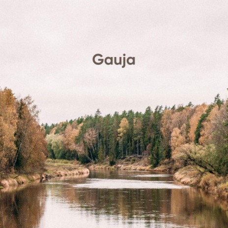 Gauja | Boomplay Music