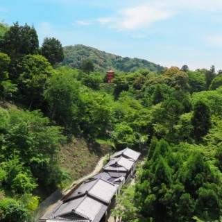 Kyoto Morning