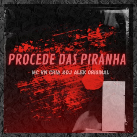 Procede das Piranha ft. DJALEKORIGINAL | Boomplay Music