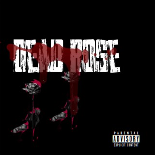 Dead rose