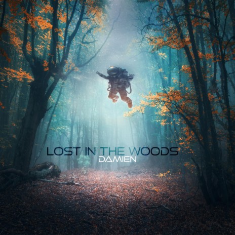 Lost In The Woods | Boomplay Music