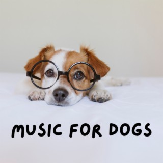 Music For Dogs