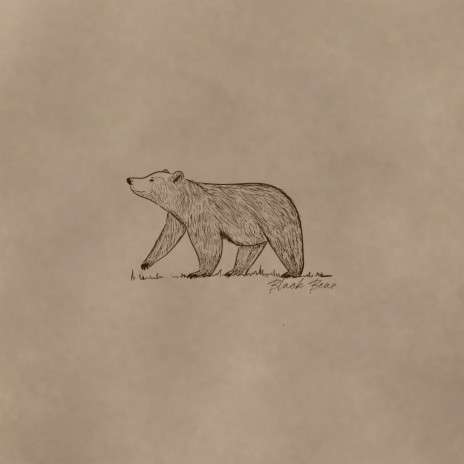 Black Bear | Boomplay Music