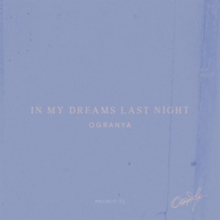 In My Dreams Last Night lyrics | Boomplay Music
