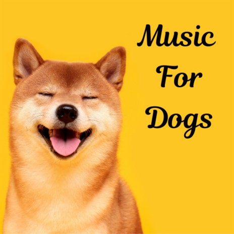 Floating In Air ft. Music For Dogs Peace, Relaxing Puppy Music & Calm Pets Music Academy | Boomplay Music