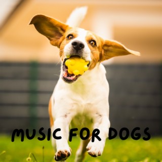 Music For Dogs