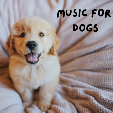 Finally at Ease ft. Music For Dogs Peace, Relaxing Puppy Music & Calm Pets Music Academy