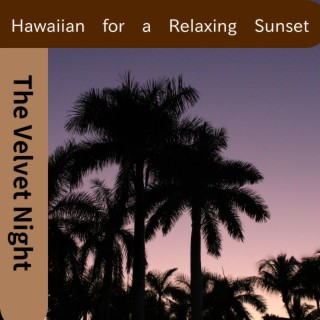 Hawaiian for a Relaxing Sunset