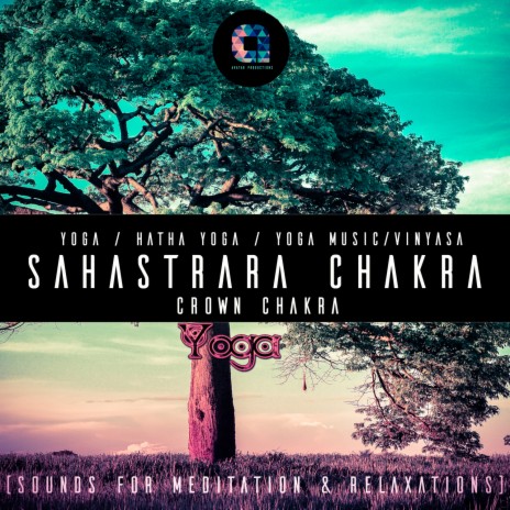 Kashmir violin (Meditation Version) ft. Yoga Music, Vinyasa & Yoga