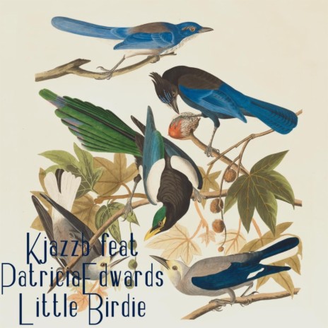 little birdie ft. PatriciaEdwards | Boomplay Music