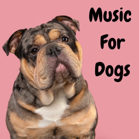 Dog Dreams ft. Music For Dogs Peace, Relaxing Puppy Music & Calm Pets Music Academy