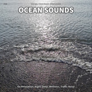 #001 Ocean Sounds for Relaxation, Night Sleep, Wellness, Traffic Noise