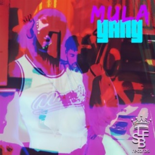 Mula Gang