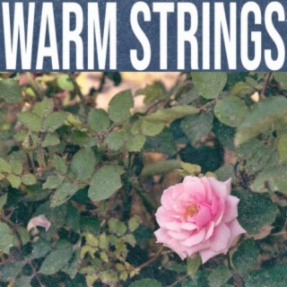 Warm Strings