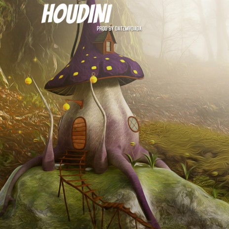 HOUDINI (FOR SALE) | Boomplay Music