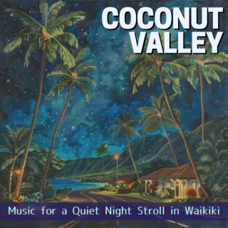 Music for a Quiet Night Stroll in Waikiki