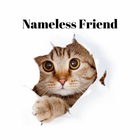 Nameless Friend | Boomplay Music