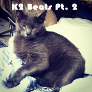 K2 Beats 2