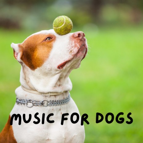 Gentle Growls ft. Relaxing Puppy Music, Music For Dogs Peace & Calm Pets Music Academy