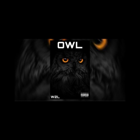 Owll | Boomplay Music