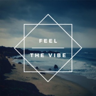 Feel The Vibe