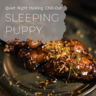 Quiet Night Healing Chill-Out