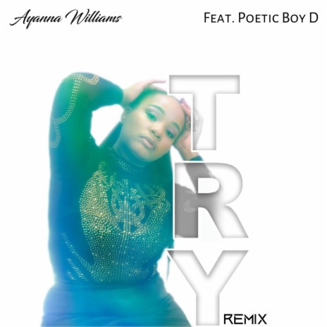 Try (feat. Poetic Boy D) (Remix) | Boomplay Music