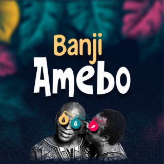 Amebo