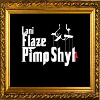 Pimp Shyt lyrics | Boomplay Music