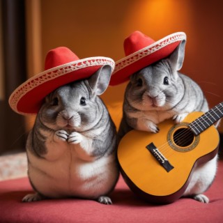 Chinchillas