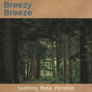 Soothing Music Paradise