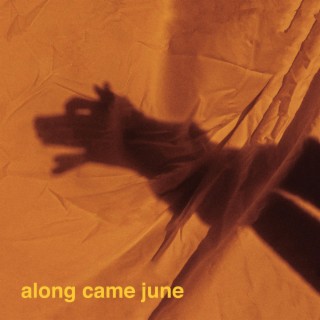 Along Came June lyrics | Boomplay Music