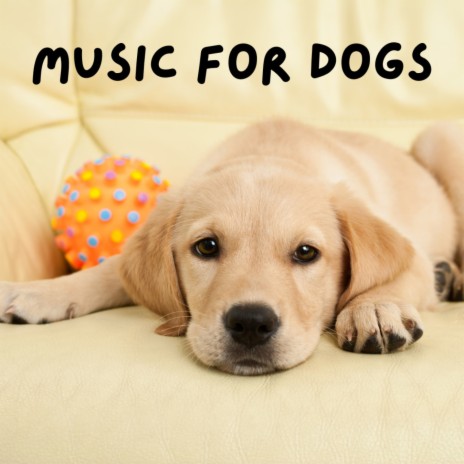 Healing Runs ft. Calm Pets Music Academy, Music For Dogs & Music For Dogs Peace | Boomplay Music