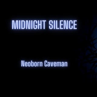 Midnight Silence