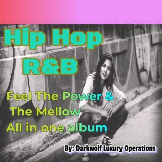 Hip Hop R&B Feel The Power & The Mellow All In One Album