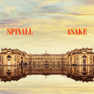 Palazzo ft Asake Dj spinall