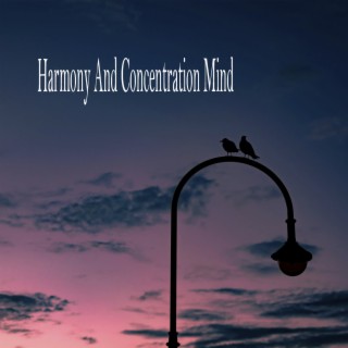 Harmony And Concentration Mind