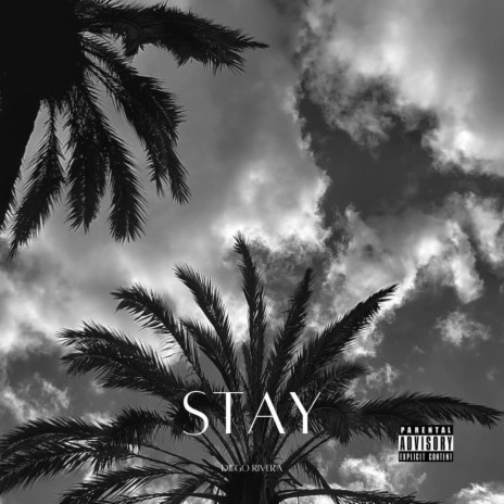 Stay | Boomplay Music