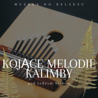 Kojące Melodie Kalimby pod Leśnym Niebem