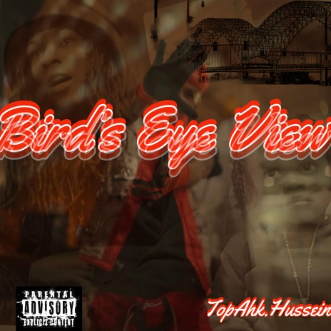 Bird Eye View | Boomplay Music