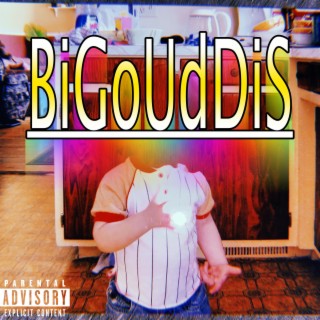 BiGoUdDis