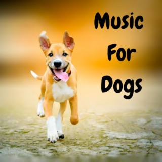 Music For Dogs