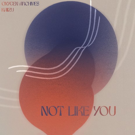 Not Like You ft. Kaiizu | Boomplay Music
