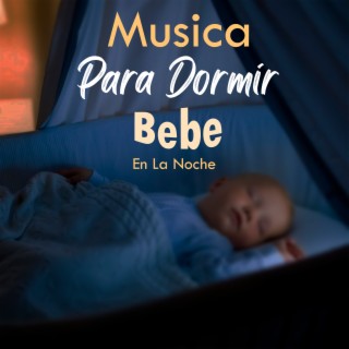Musica Para Dormir Bebe En La Noche