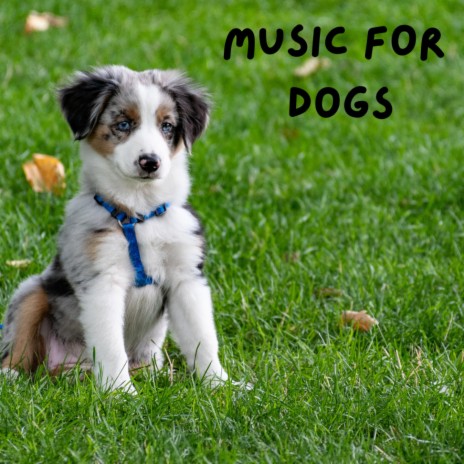 Dog Relax ft. Music For Dogs Peace, Relaxing Puppy Music & Calm Pets Music Academy | Boomplay Music