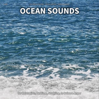 #001 Ocean Sounds for Relaxation, Bedtime, Studying, to Release Anger