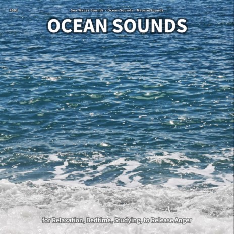 Ocean Sounds, Pt. 92 ft. Ocean Sounds & Nature Sounds