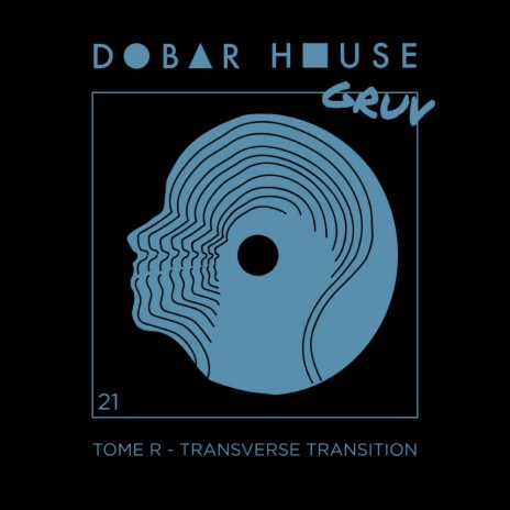 Transverse Transition (Original Mix) | Boomplay Music